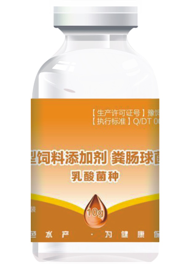 粪肠球菌乳酸菌种